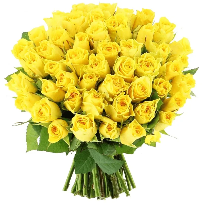 Розы Кения желтые